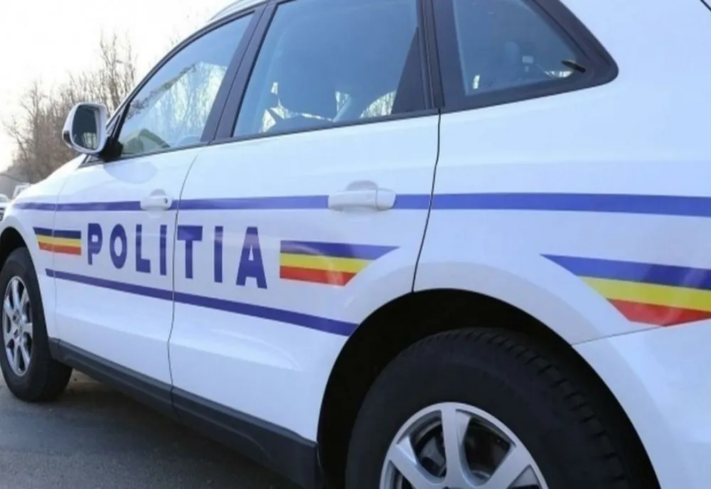 Bunuri în valoare de 100.000 de lei furate din curtea unei firme din judeţul Satu Mare