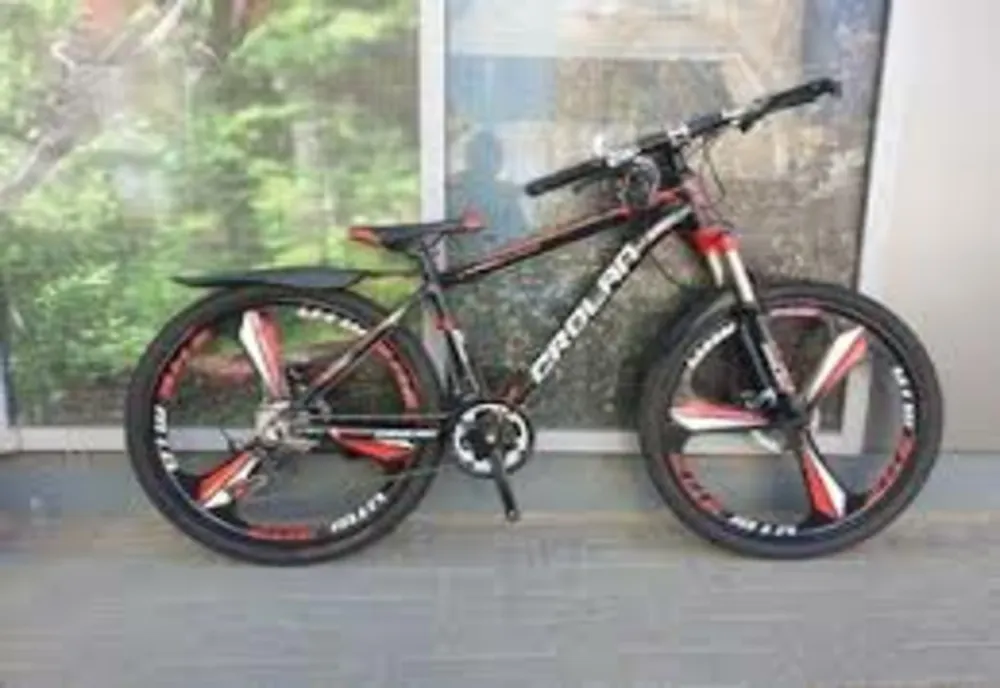 Bicicletă furată din curtea unui local! Poliţiştii au găsit-o la un minor de 15 ani