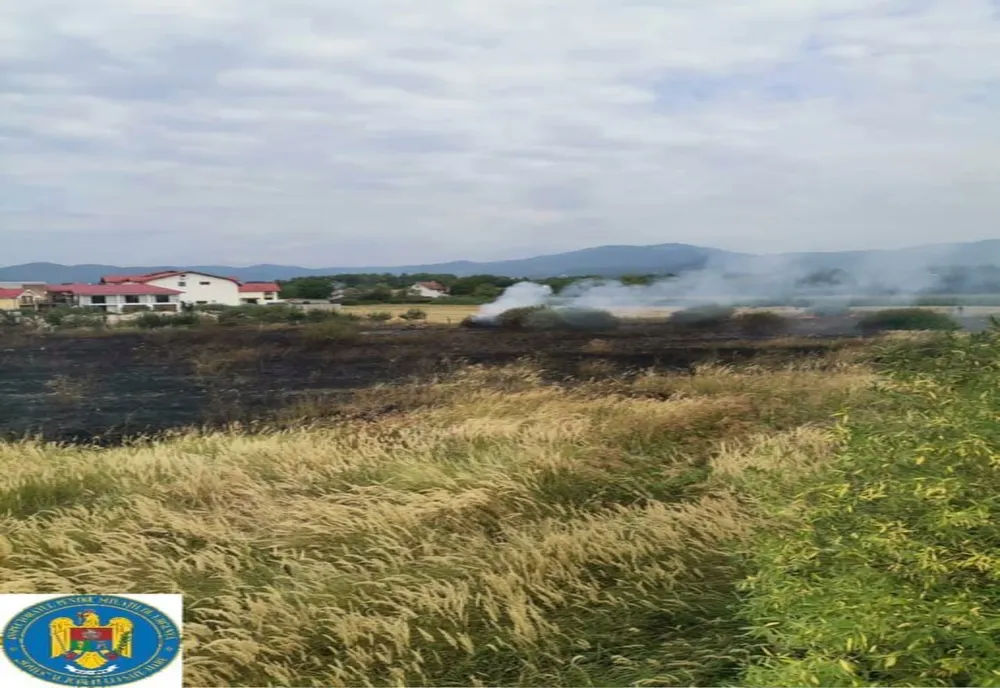 FOTO | Incendiu de vegetaţie la ieşire din Negrești-Oaș