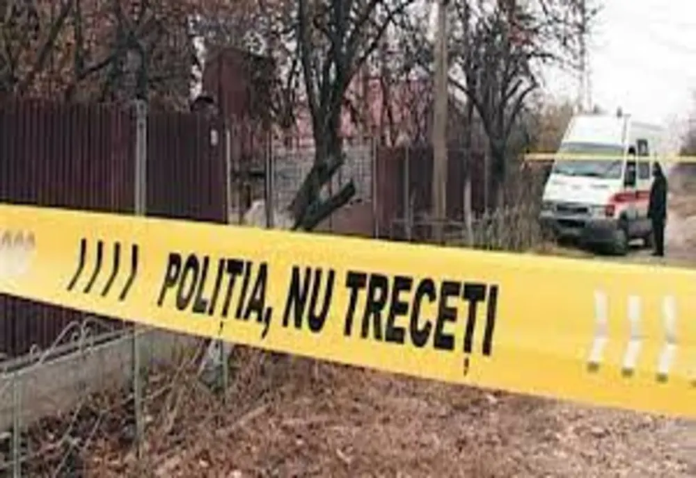 Crimă şocantă în judeţul Satu Mare! Ceartă încheiată cu o crimă din cauza alcoolului