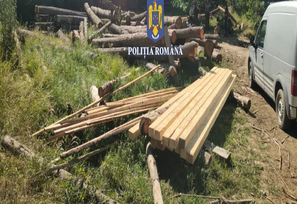 Activități desfășurate la nivelul Inspectoratului de Poliție Județean Satu Mare  pentru prevenirea și combaterea faptelor ilegale din  domeniul forestier