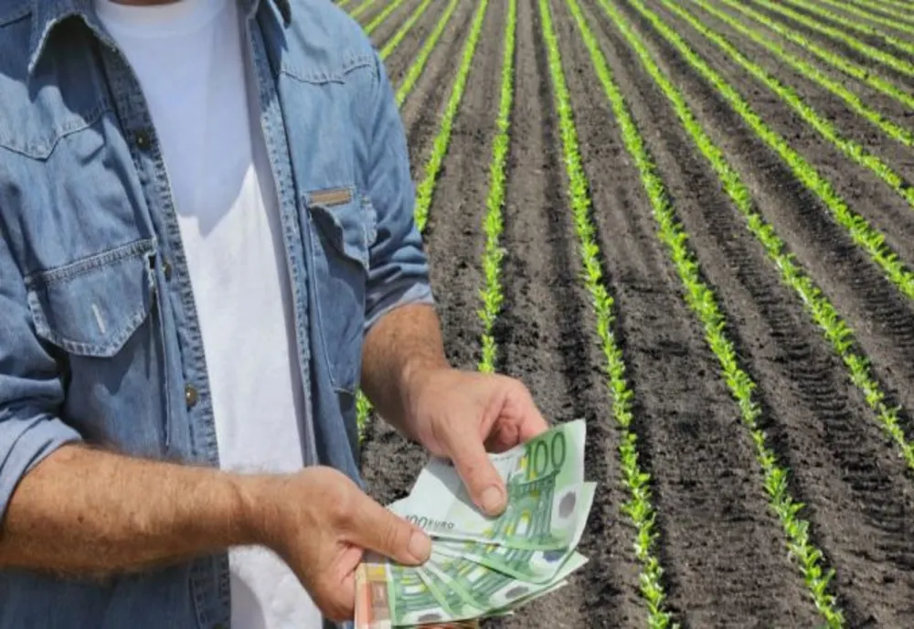 Peste 648 milioane euro autorizate la plata finală în cadrul Campaniei 2022