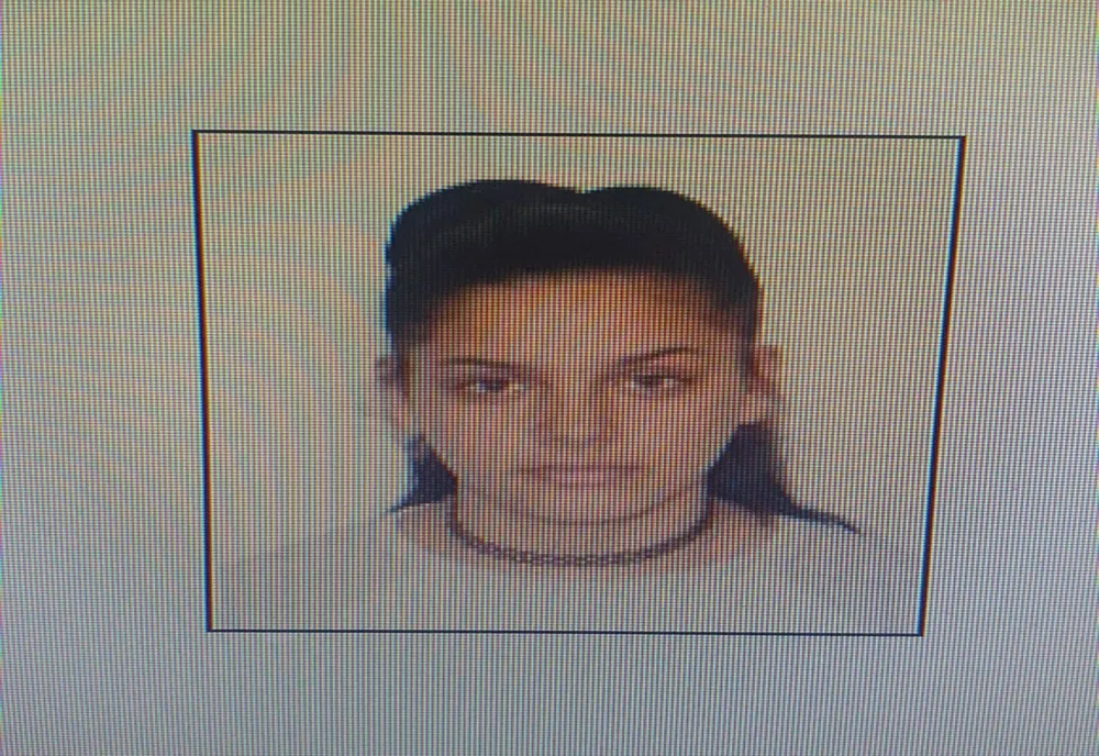 Minoră de 17 ani, din localitatea Ardud, dată dispărută