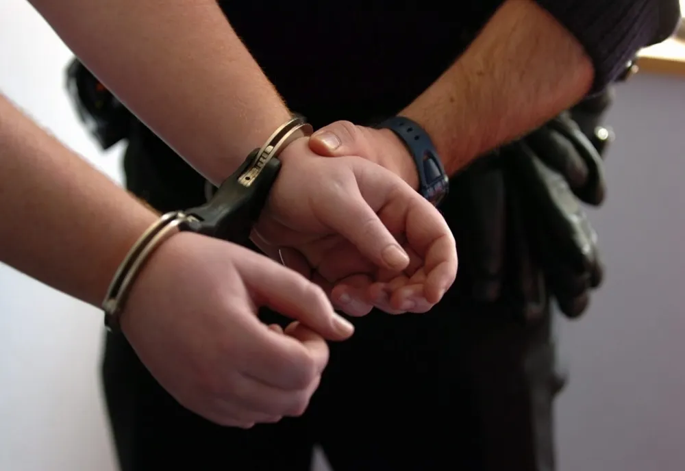 Femeie din Ardud, identificată și cercetată de polițiști pentru comiterea infracțiunii de furt calificat