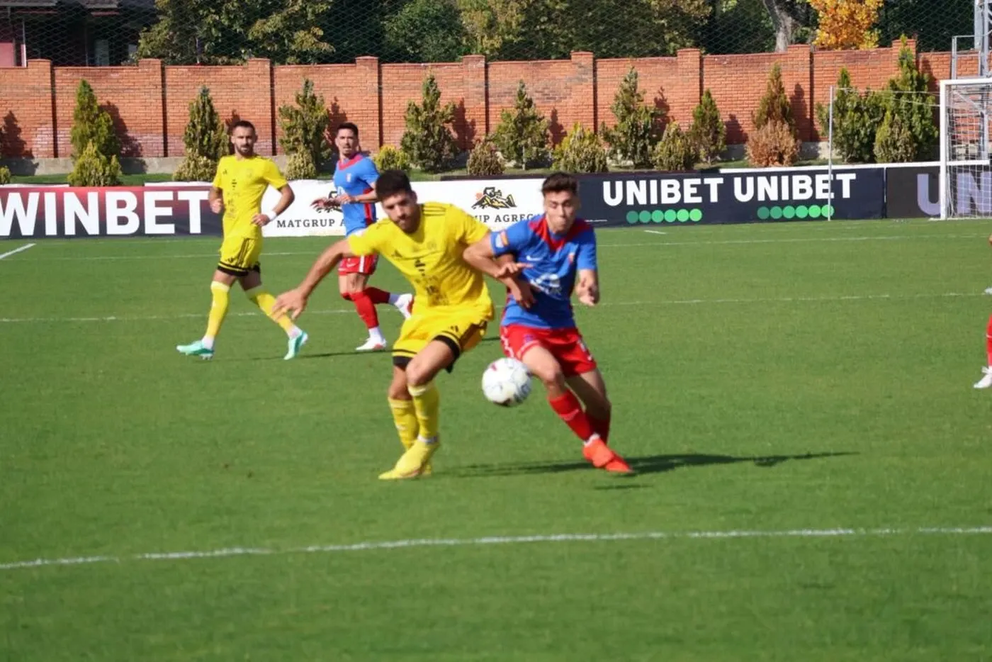 Chindia Târgoviște a învins Olimpia Satu Mare 