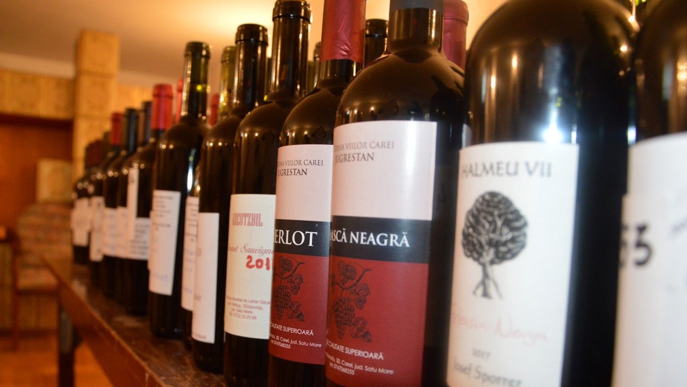 festivalul_vinului1