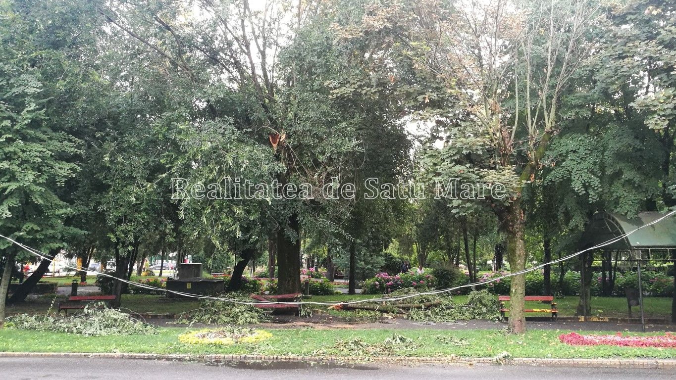 vijelie_piata_libertatii1