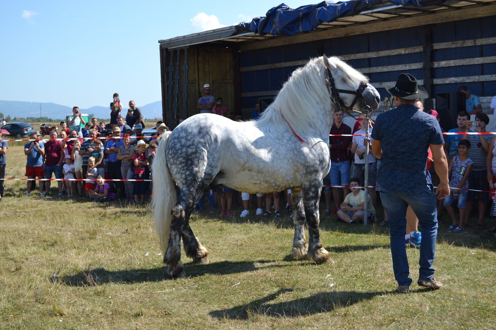 concurs_ecvestru_valea_mariei