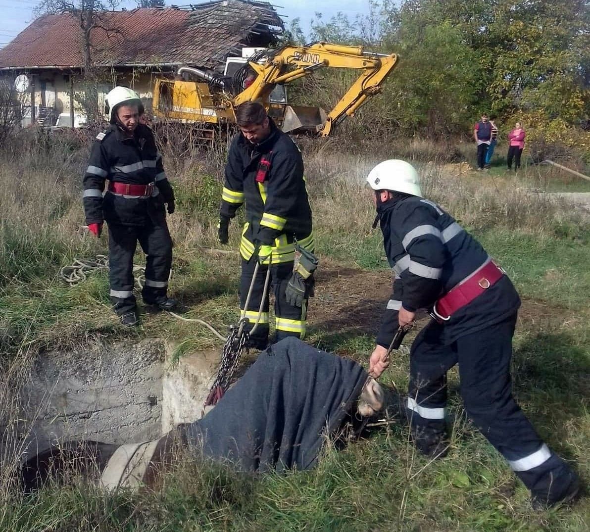 cal_salvat_fosa_septica