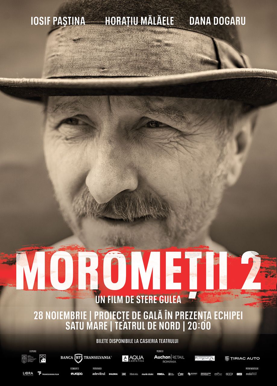 Vizual_SatuMare_50x70cm