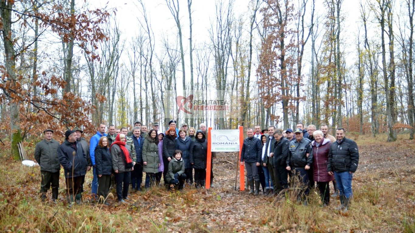 plantare_stejari_centenar