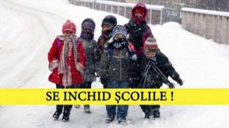 scoli inchise