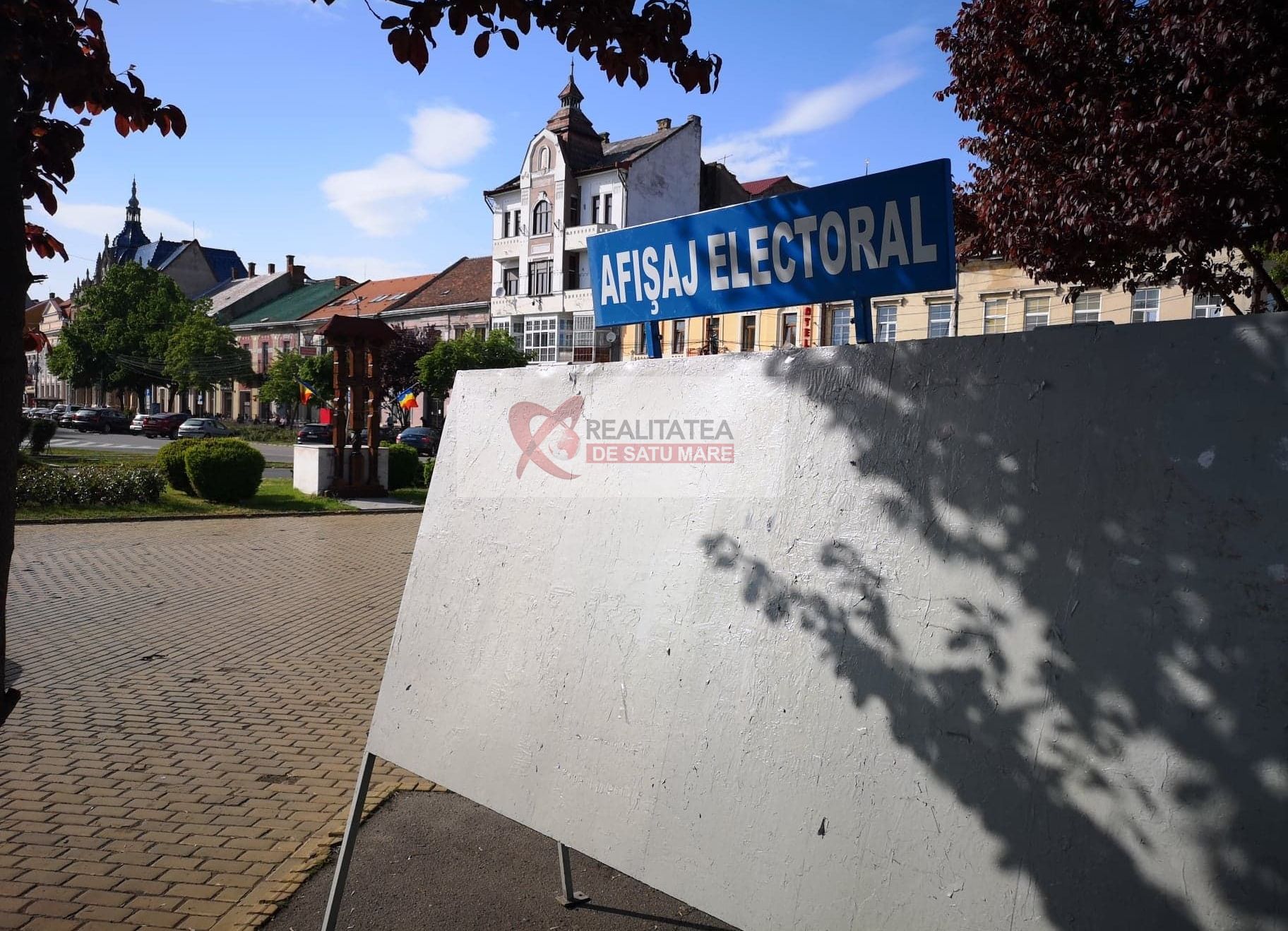 panou afisaj electoral