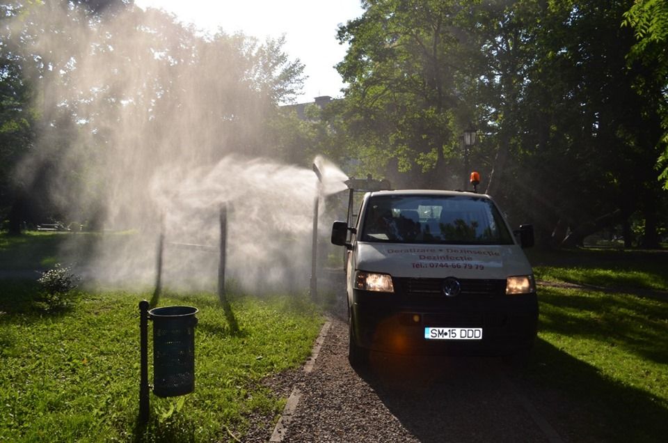 dezinsectie_carei3