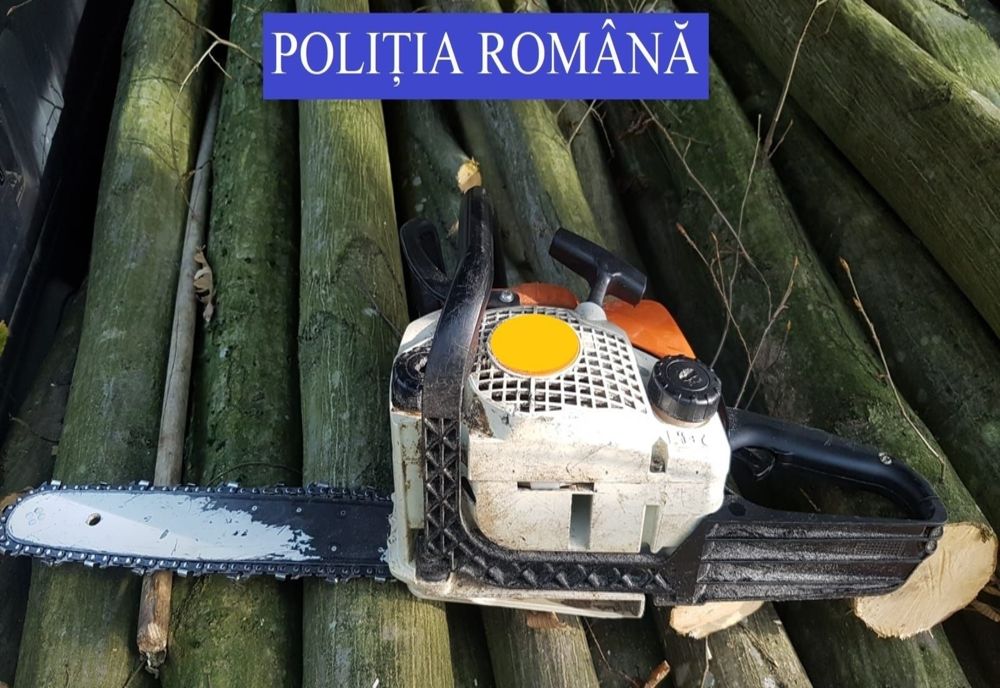 Hoți de lemne din Maramureș, prinși la furat în județul Satu Mare