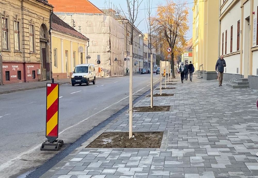 Peste 600 de arbori, plantaţi în municipiul Satu Mare