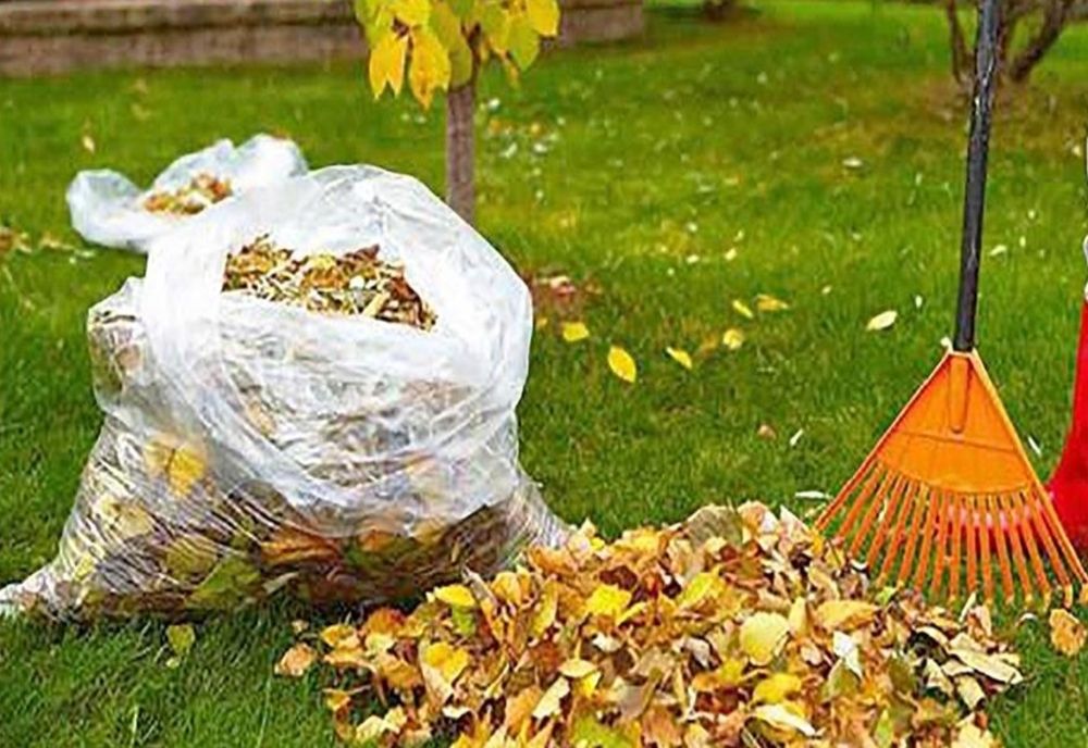 A început curățenia în municipiu! De azi se ridică deșeurile abandonate de pe domeniul public