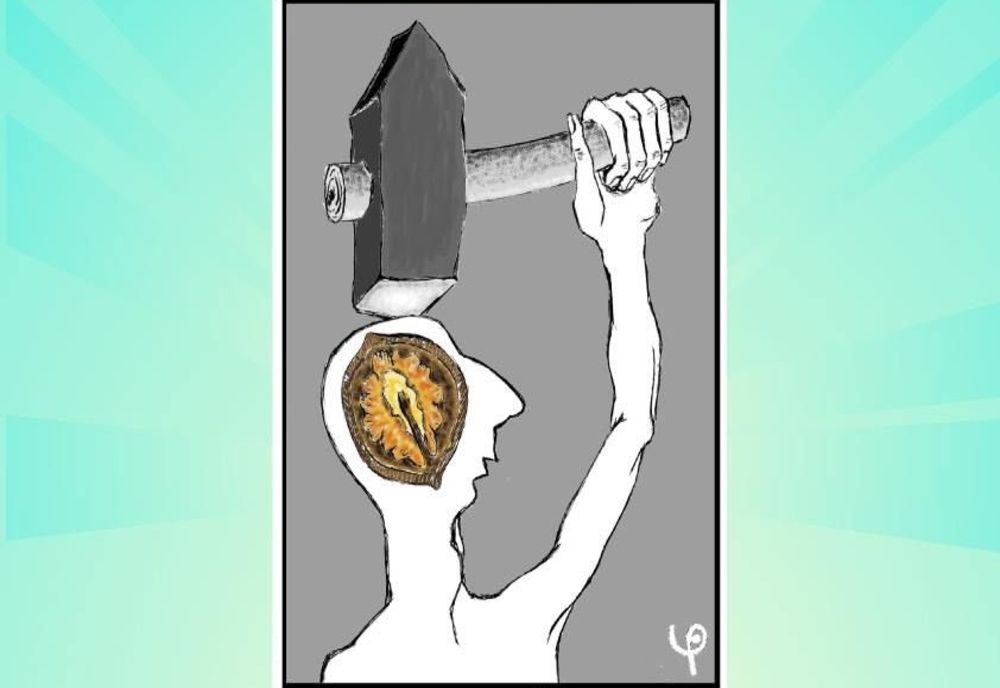 Expoziție de caricaturi la Castelul din Carei