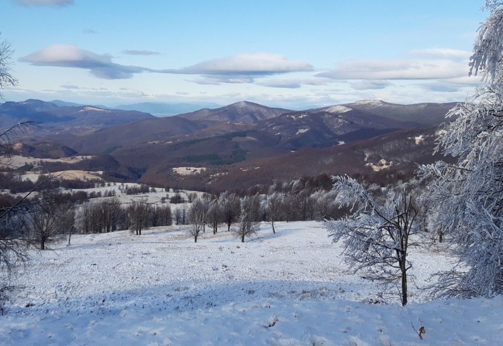 Trasee turistice în curs de amenajare și omologare de către Serviciul Public Județean Salvamont Satu Mare