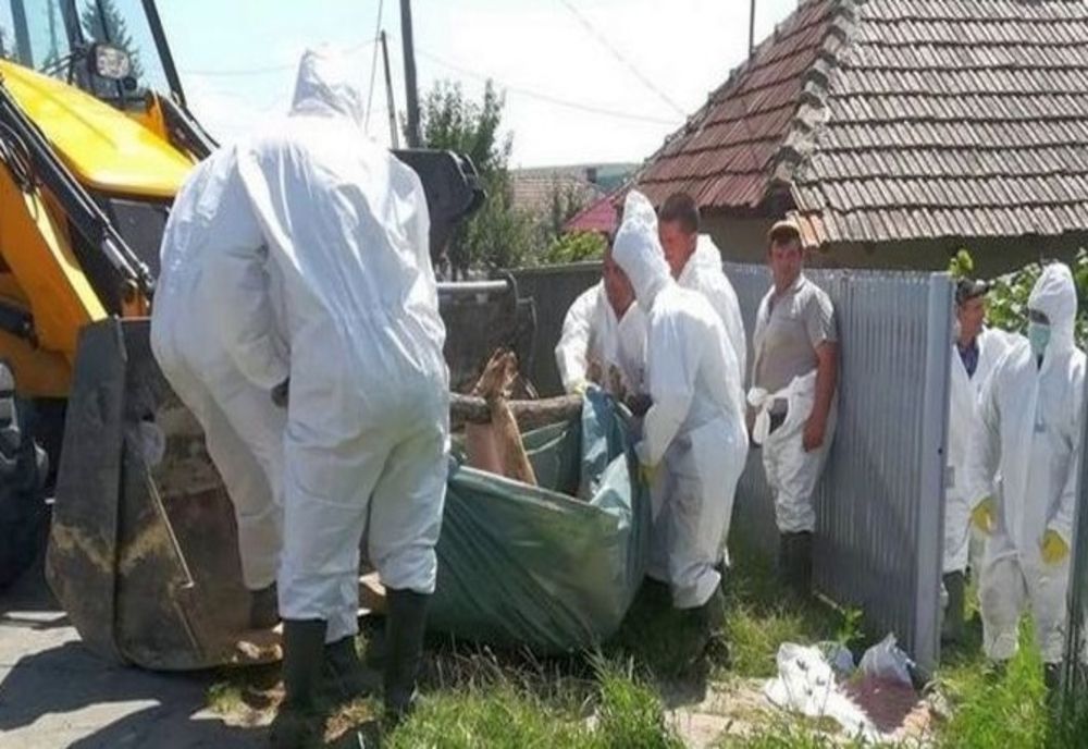 Medic veterinar din județ amendat de DSVSA Satu Mare