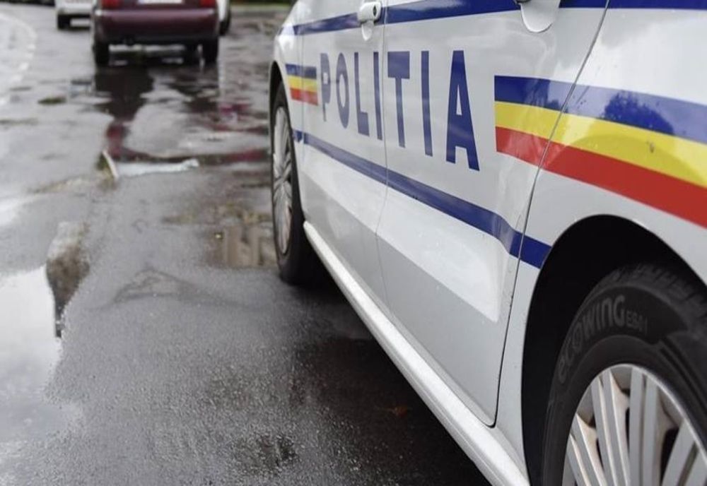 A încercat să evite un animal aflat pe carosabil, dar a lovit o tânără