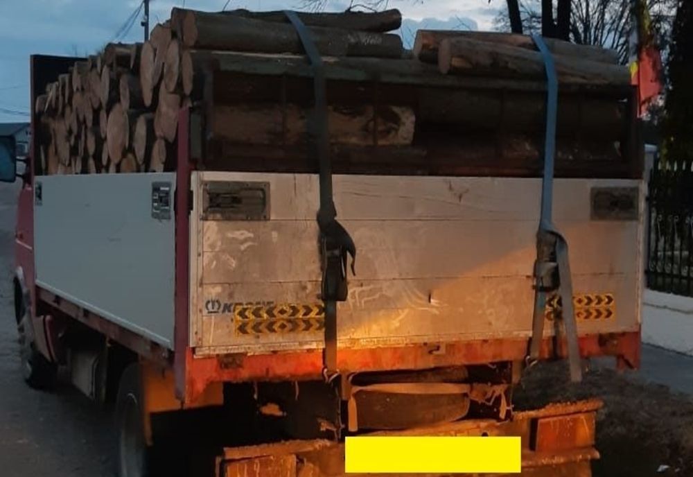 Maramureșean prins transportând lemn furat cu autoutilitara