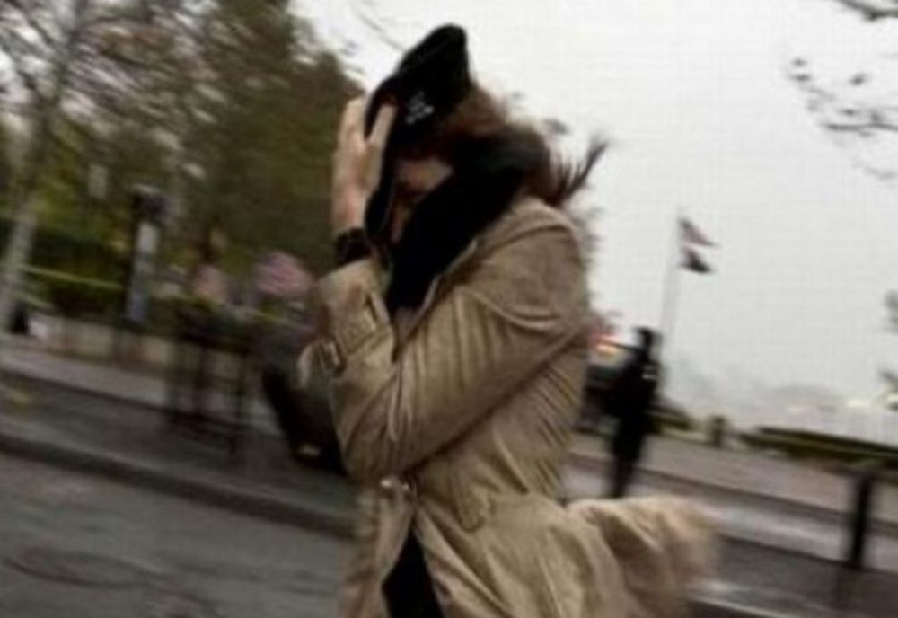 Cod galben de vânt în județul Satu Mare