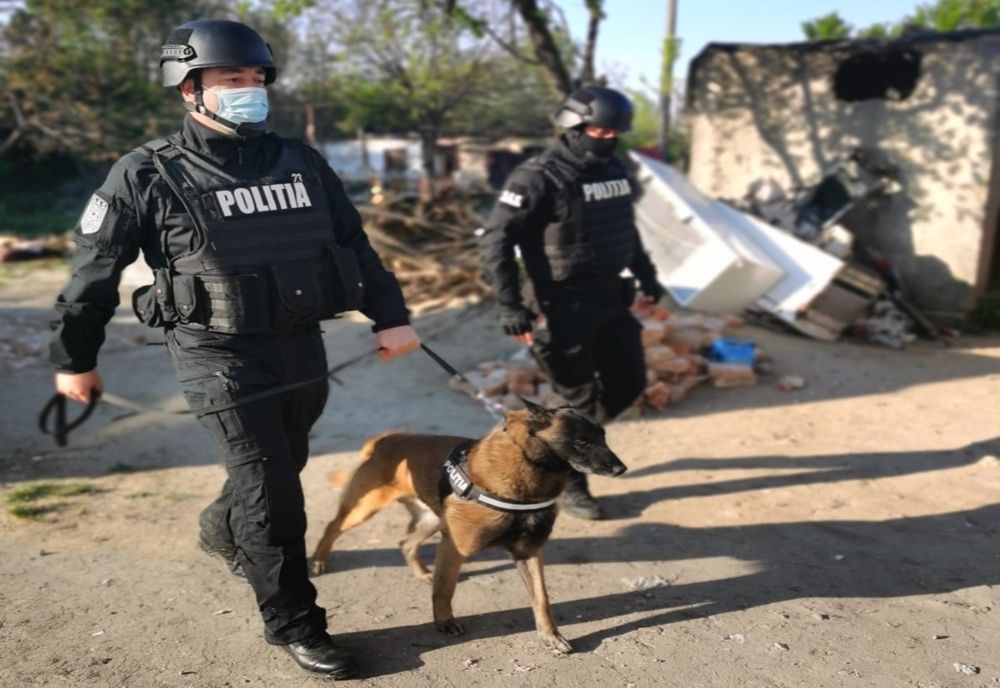 Amenzi în valoare de 75.000 de lei aplicate pentru nerespectarea măsurilor privind restricționarea circulației