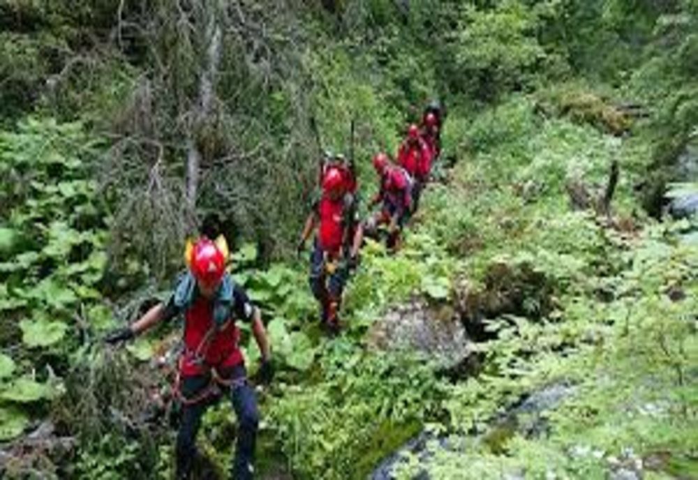 Femeie bătrână și bolnavă, dată dispărută de familie, căutată de zeci de forțe de ordine și localnici