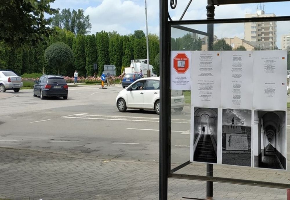 Proiect | "Minutul de cultură" pentru promovarea poeziei și fotografiei