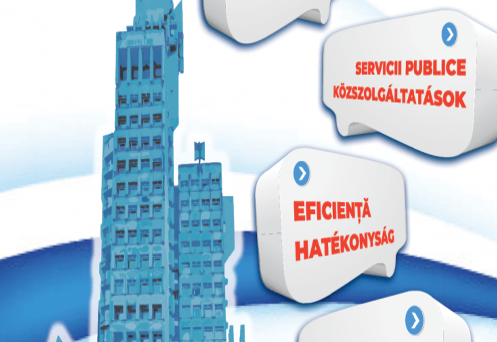  Proiect de peste 2,6 milioane lei | Primăria Satu Mare digitalizează serviciile publice