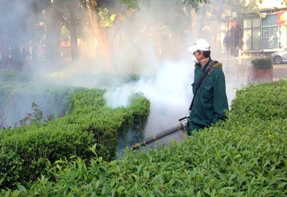 Acțiuni de dezinsecție împotriva țânțarilor la Satu Mare