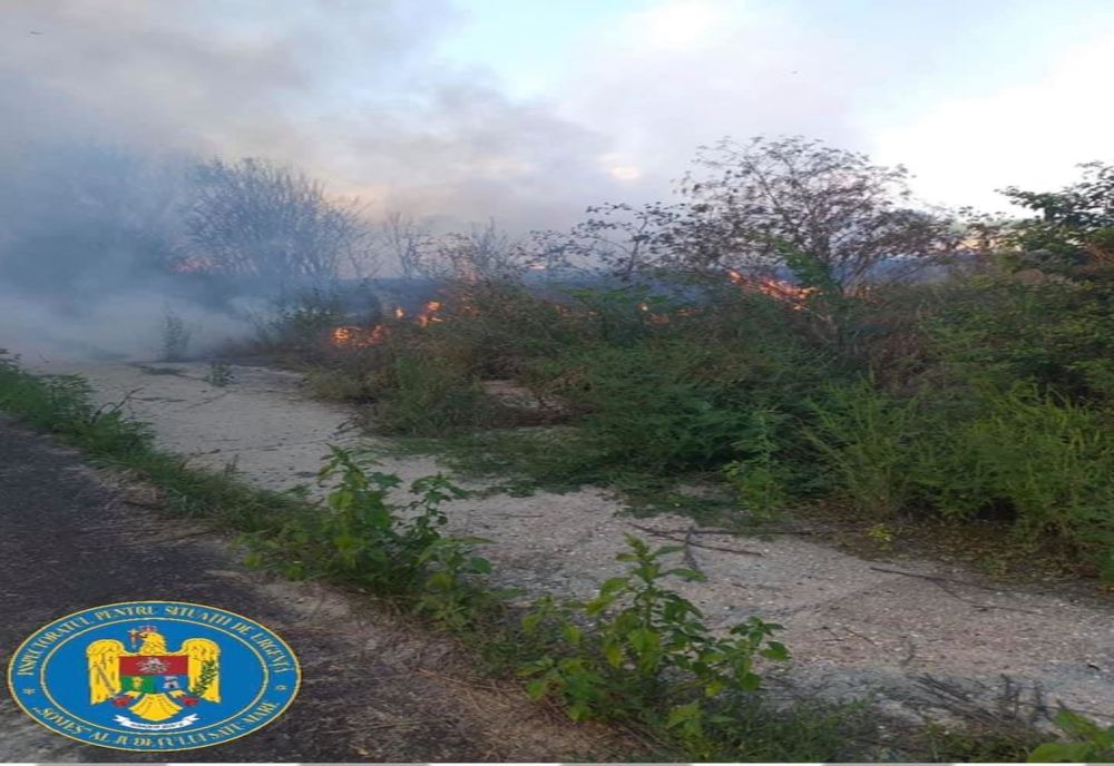 FOTO | Incendiu în comuna Căpleni! Au intervenit 9 pompieri cu două autospeciale