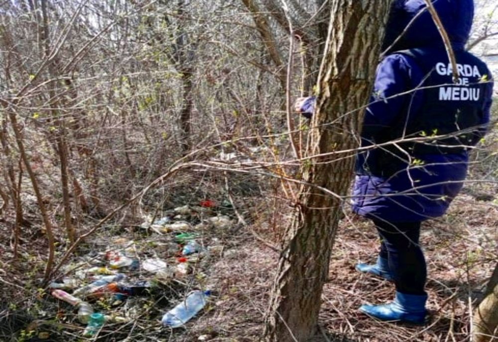 Peste 70 de controale, efectuate, luna trecută, de comisarii Gărzii de Mediu Satu Mare! Au fost aplicate și câteva zeci de amenzi 