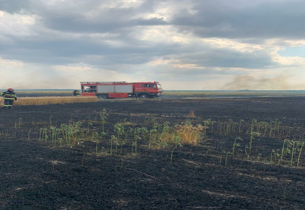 FOTO | 3 hectare de grâu și 8 hectare de paie distruse de un incendiu în judeţul Satu Mare