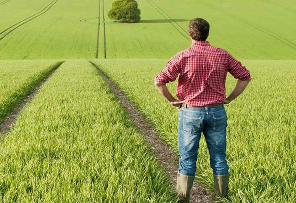 APIA continuă eliberarea de adeverințe pentru beneficiarii Campaniei 2021