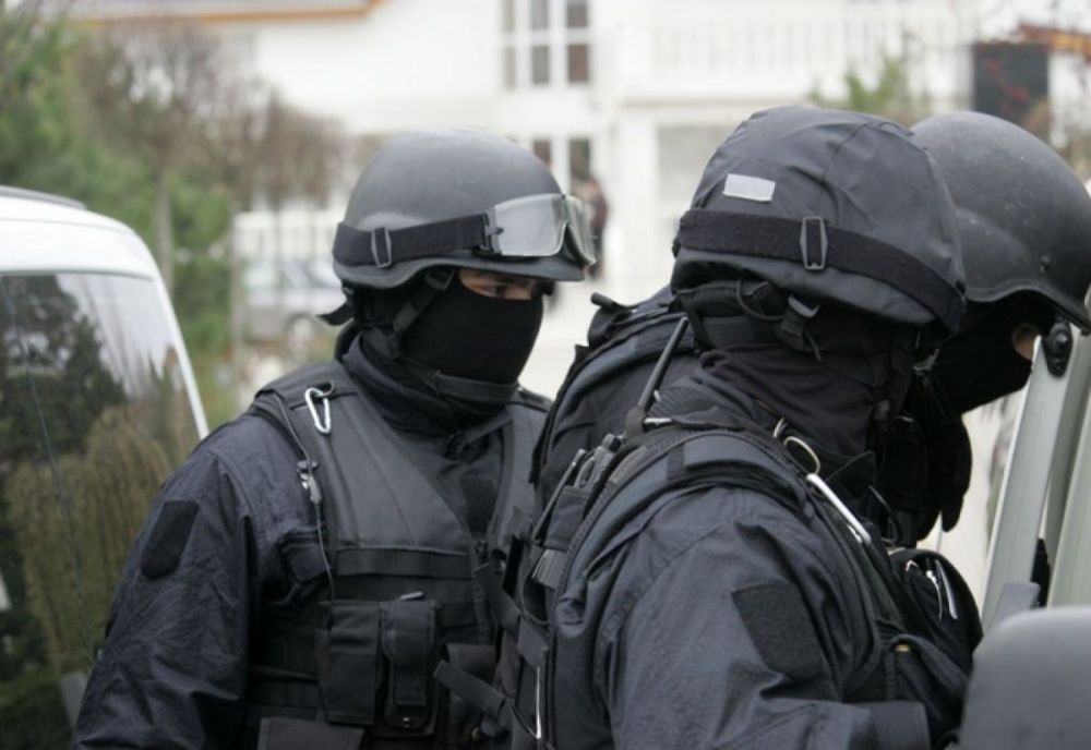 Zeci de percheziţii în Bistriţa-Năsăud într-un dosar de tăieri ilegale de arbori (VIDEO)