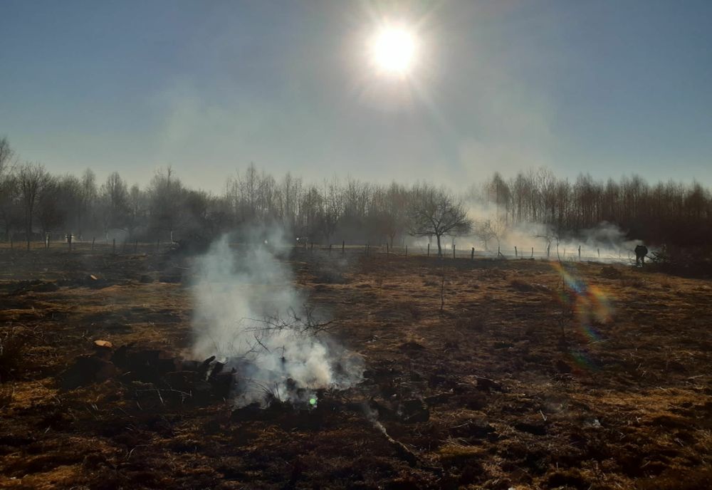 Circa 5 ha de vegetație uscată afectate de incendii, în județul Satu Mare