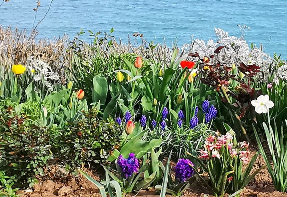 Ce nume se sărbătoresc de Florii