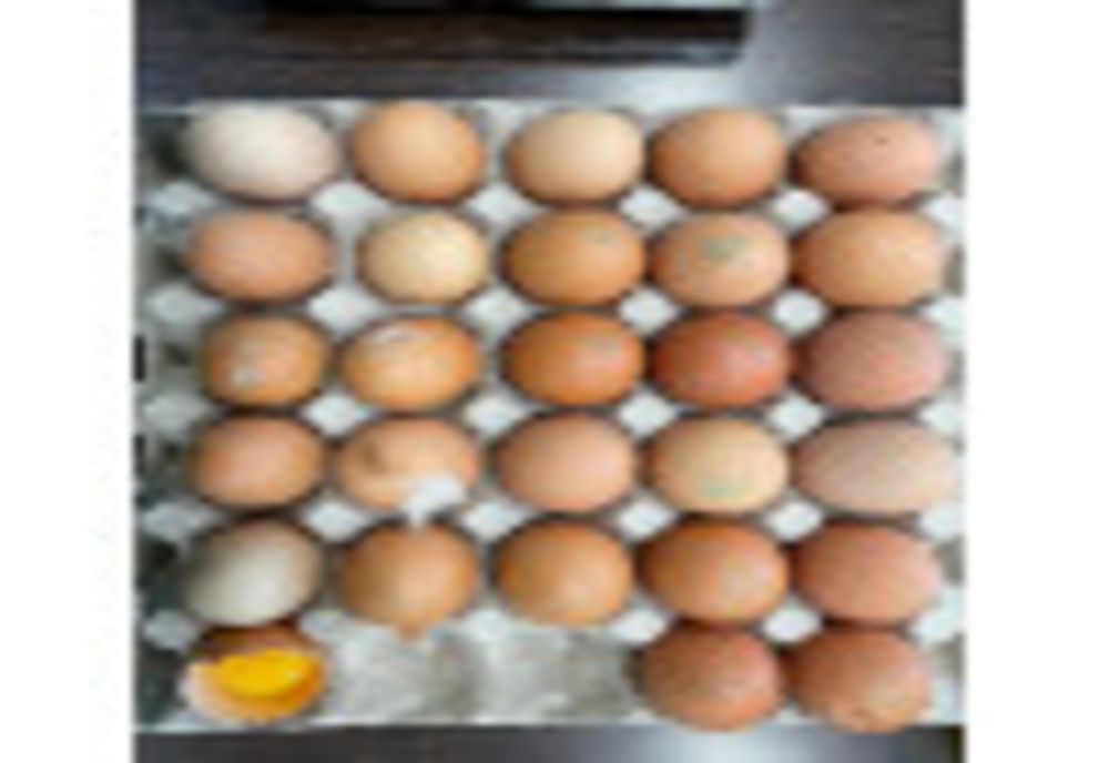 ANPC a controlat modul în care se comercializează ouăle în România. În câteva ore, amenzi de 380.000 lei