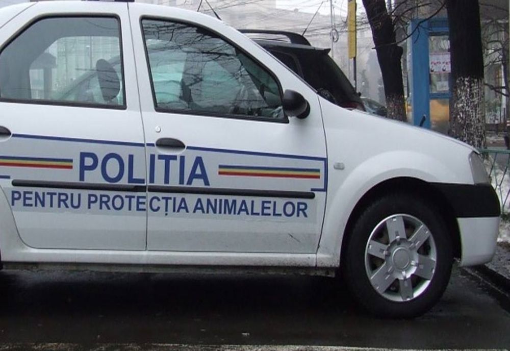 Aproape 200 de amenzi aplicate, de la începutul anului, de Poliţia Animalelor Satu Mare