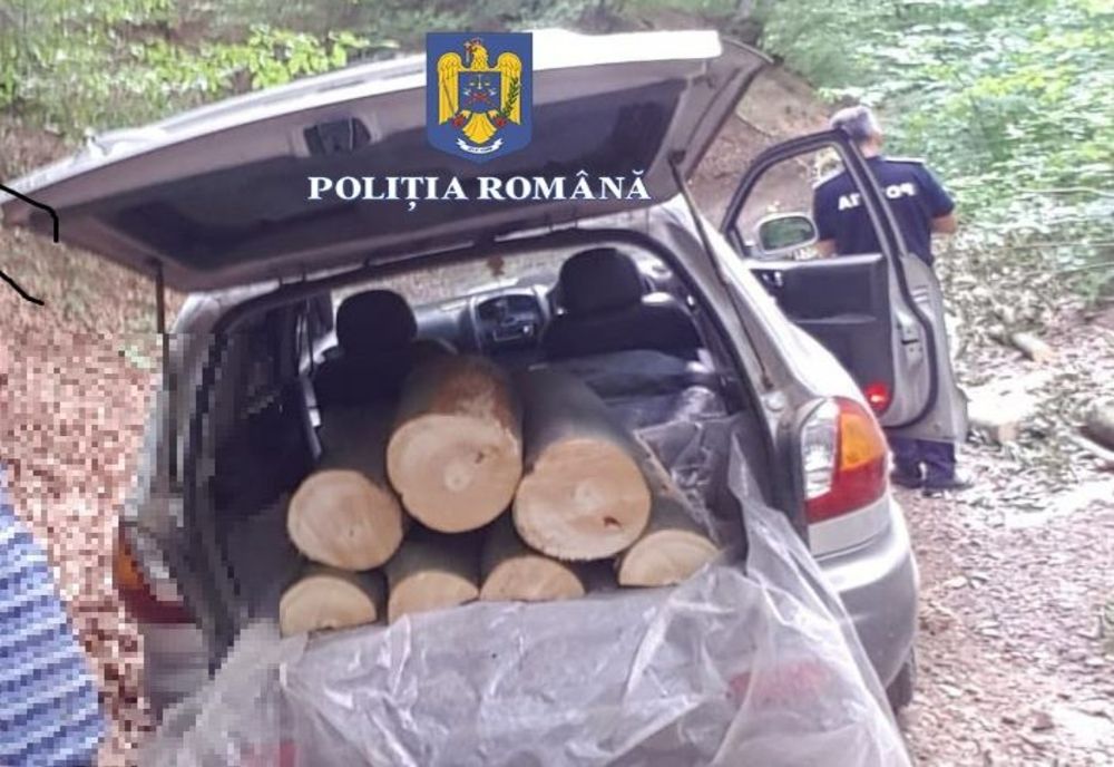 Sătmărean prins la furat de lemne în pădure! A fost amendat cu 1000 de lei (FOTO)