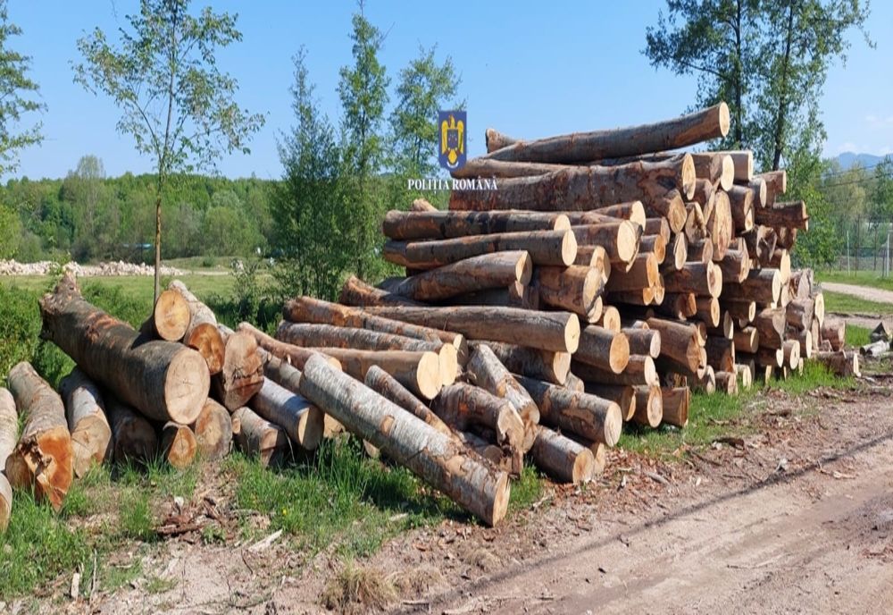 Surse. Coaliția a plafonat prețul la lemnul de foc. Exportul va fi interzis