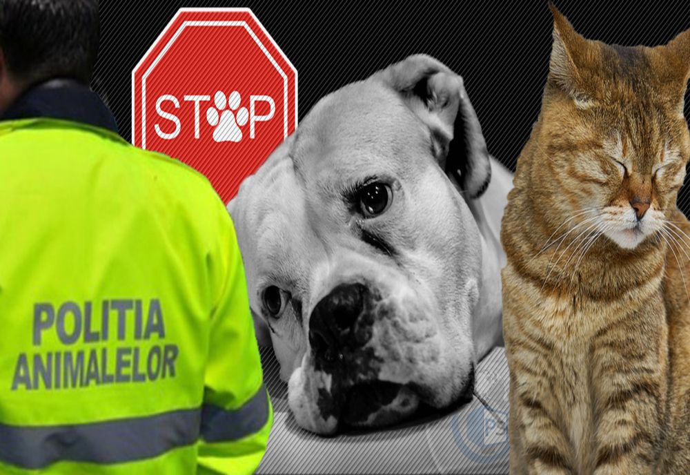 Campanie derulată de Poliţia Animalelor Satu Mare prin satele din judeţ