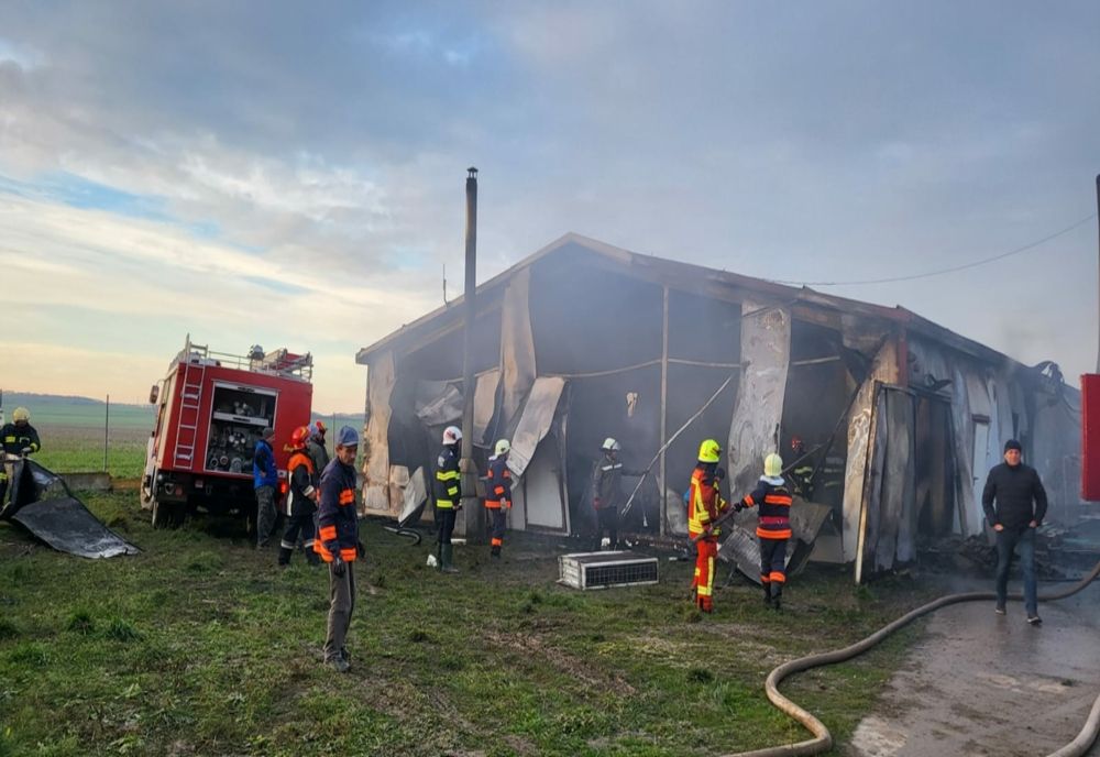 Incendiu violent în localitatea Unimat! 9000 de găini au murit (FOTO)