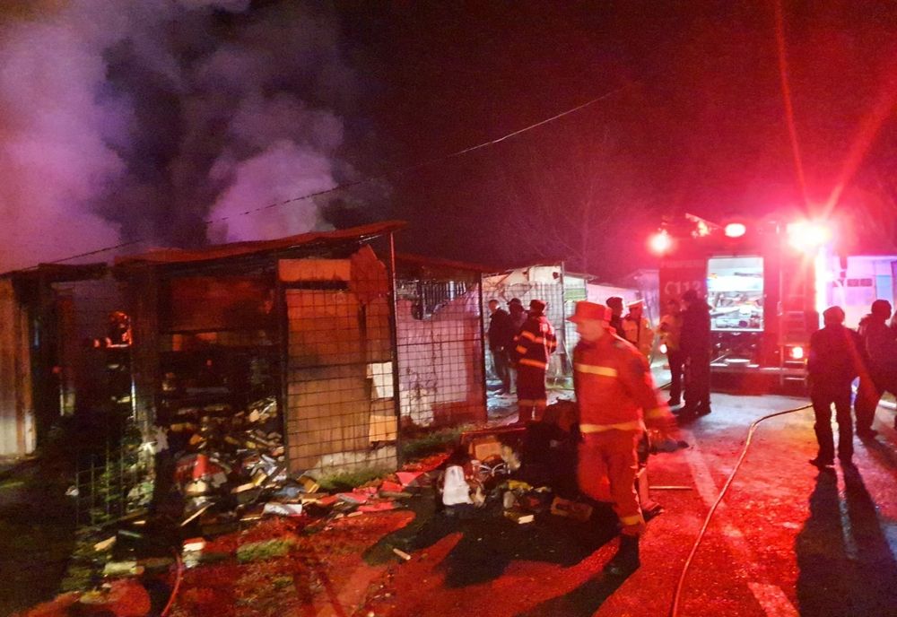 Depozit de lemne din Negrești Oaș cuprins de flăcări! Focul ar fi fost pus intenţionat (FOTO)