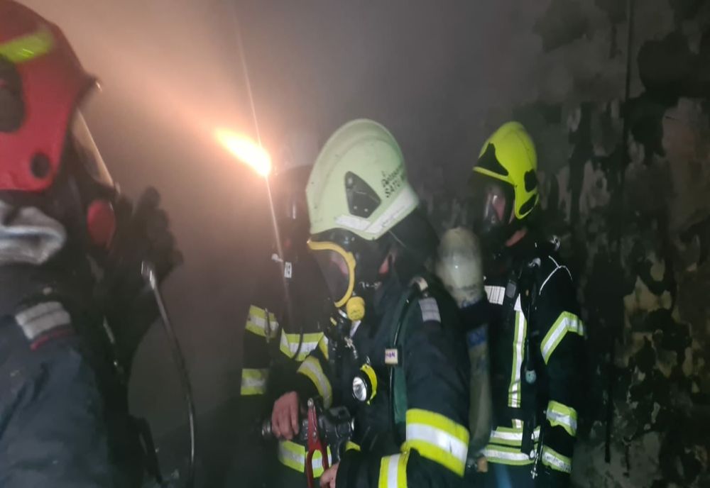 Incendiu la o casă din Satu Mare! Un căţel a murit (FOTO)