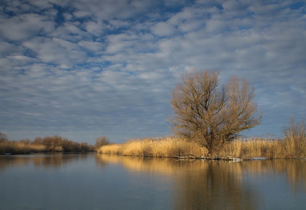 PROIECTE DE MEDIU ÎNTÂRZIATE ÎN DELTA DUNĂRII