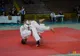 Satu Mare găzduieşte în weekend finala Campionatului Naţional de judo U13