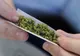 Tânăr din Satu Mare prins cu marijuana asupra sa